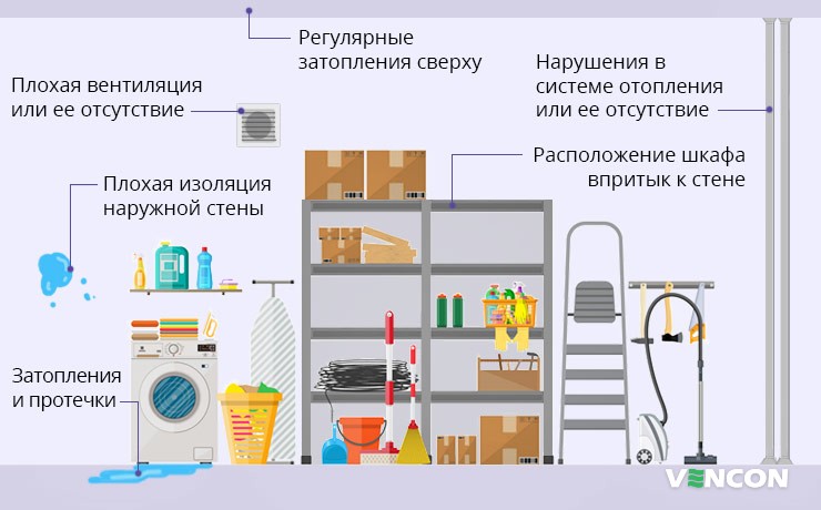 Причины появления плесени в кладовке