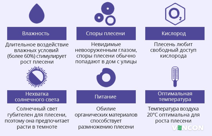 Условия развития плесени