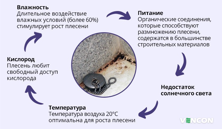 Причины образования плесени