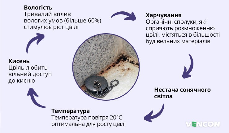 Причини утворення цвілі