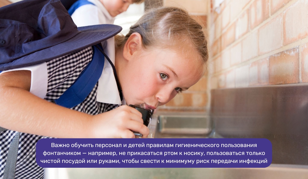Питьевые фонтанчики в учебных заведениях: ключевые моменты организации