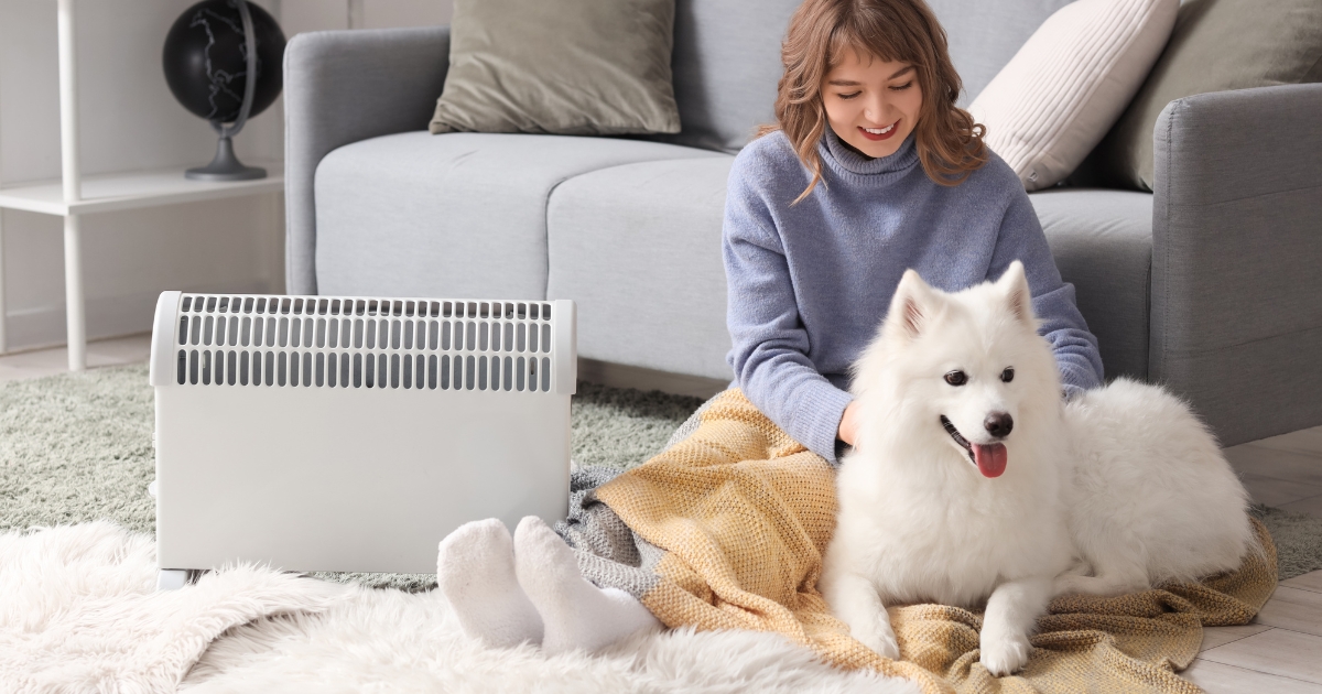 Як правильно зігрівати тварин у холоди