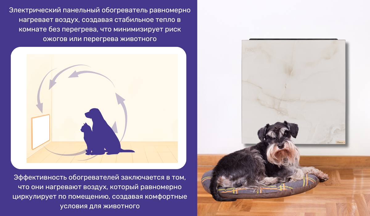 Обогрев домашнего животного с помощью электрического панельного обогревателя: эффективный и безопасный способ