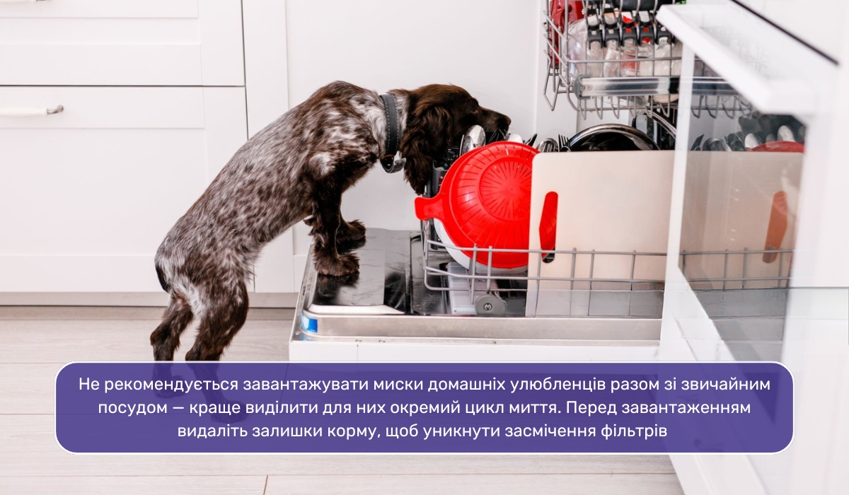 Миття мисок для домашніх тварин у посудомийній машині: рекомендації та особливості