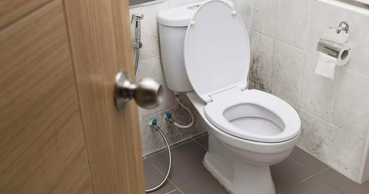 Основні причини появи цвілі в туалеті, які методи позбавлять від грибка назавжди