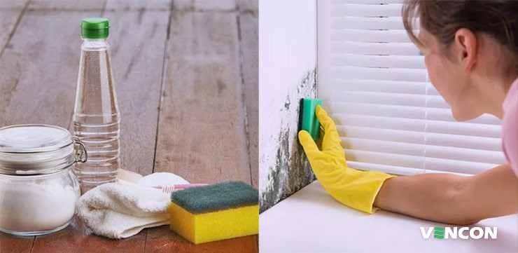 Очищение оконных откосов от грибка