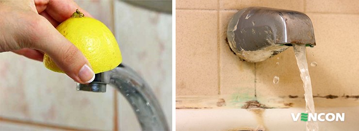 Звичайні свіжі лимони