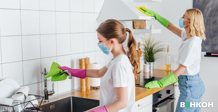 Преимущества использования вытяжки на кухне