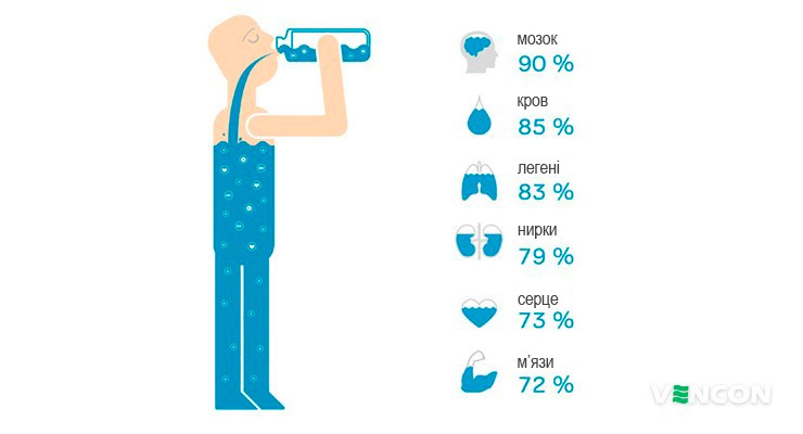 Роль води в організмі людини