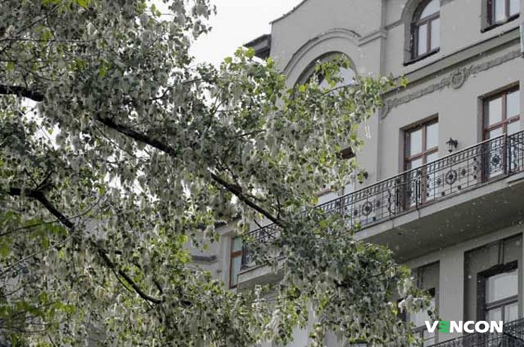 Как бороться с пухом в офисе