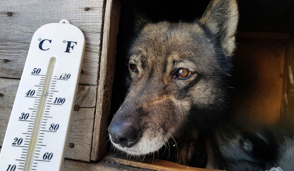 Дотримання правил безпеки робить прогрів будки більш ефективним і надійним