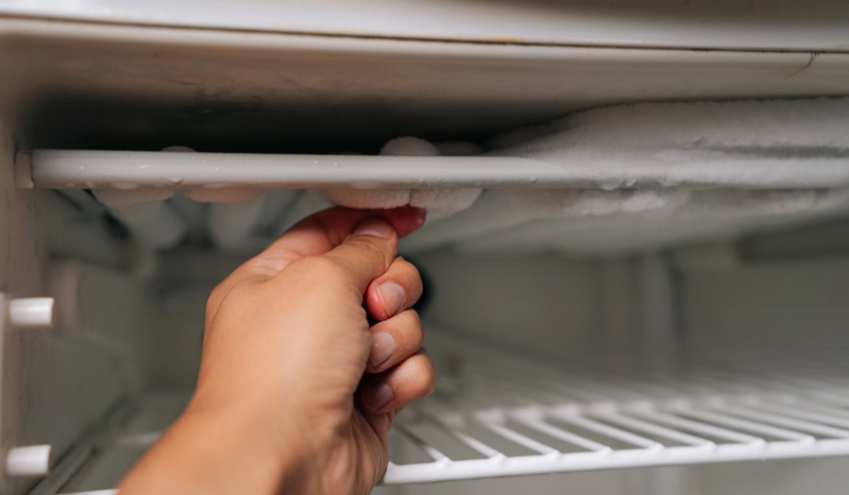 Де зберігати продукти під час розморожування: зручні варіанти