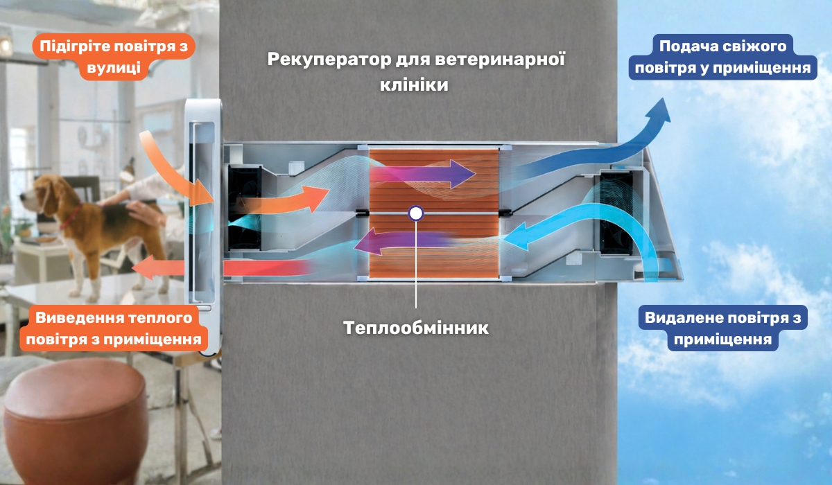Рекуператор для ветеринарної клініки: ефективне рішення
