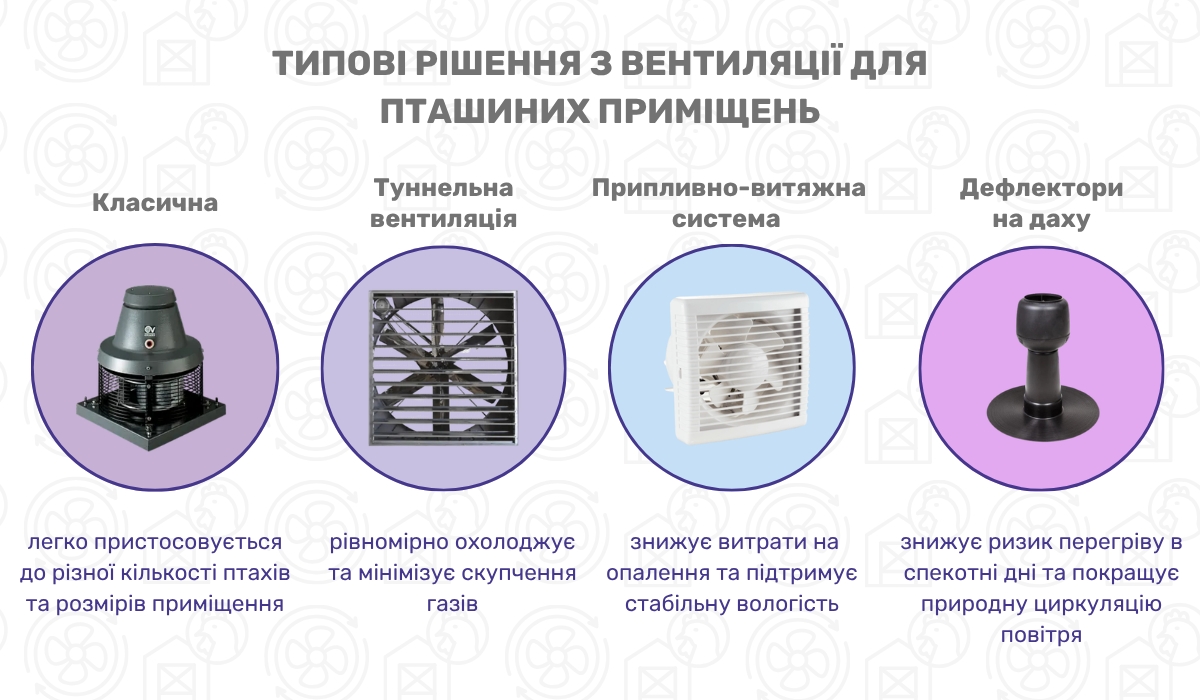 Системи повітрообміну для пташників: види та особливості