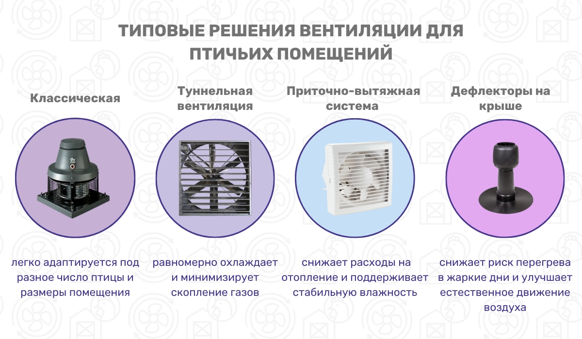 Системы воздухообмена для птичников: виды и особенности