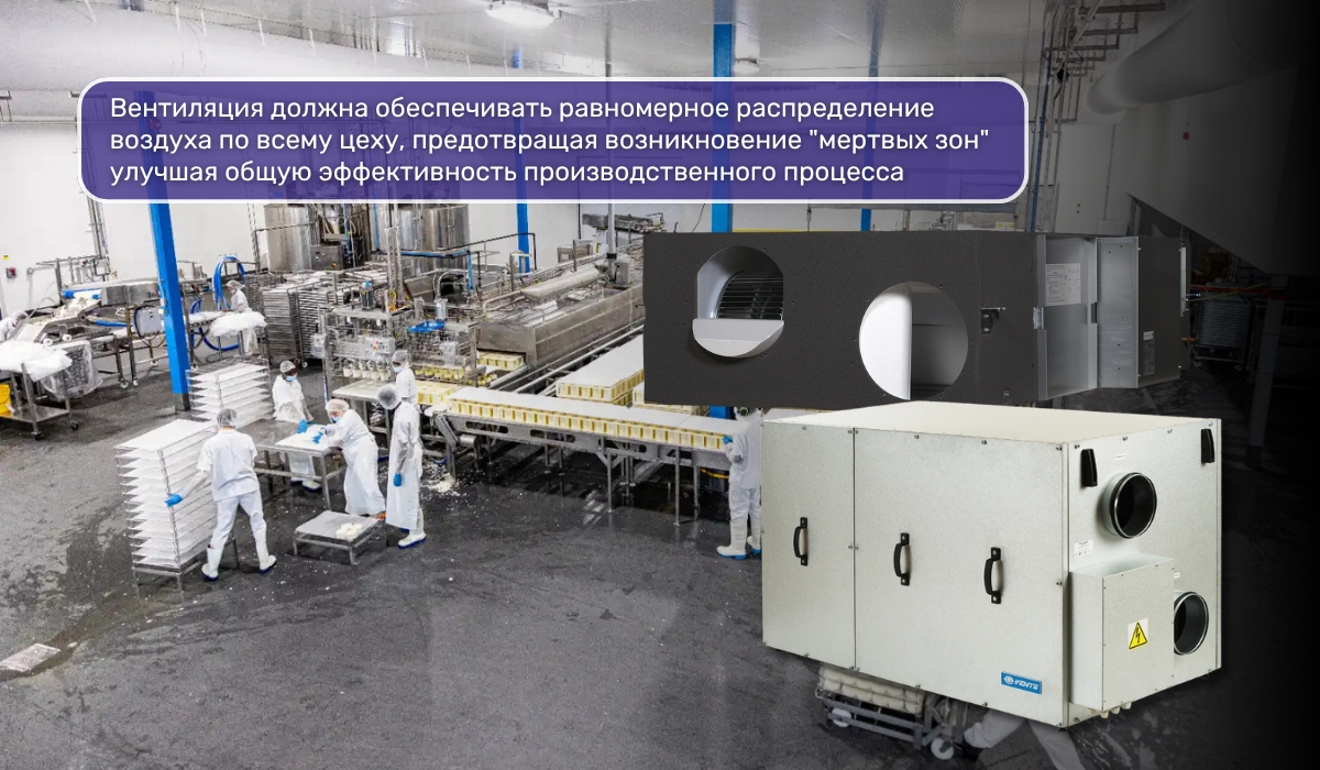 Вентиляция сырного цеха: какие функции она должна выполнять