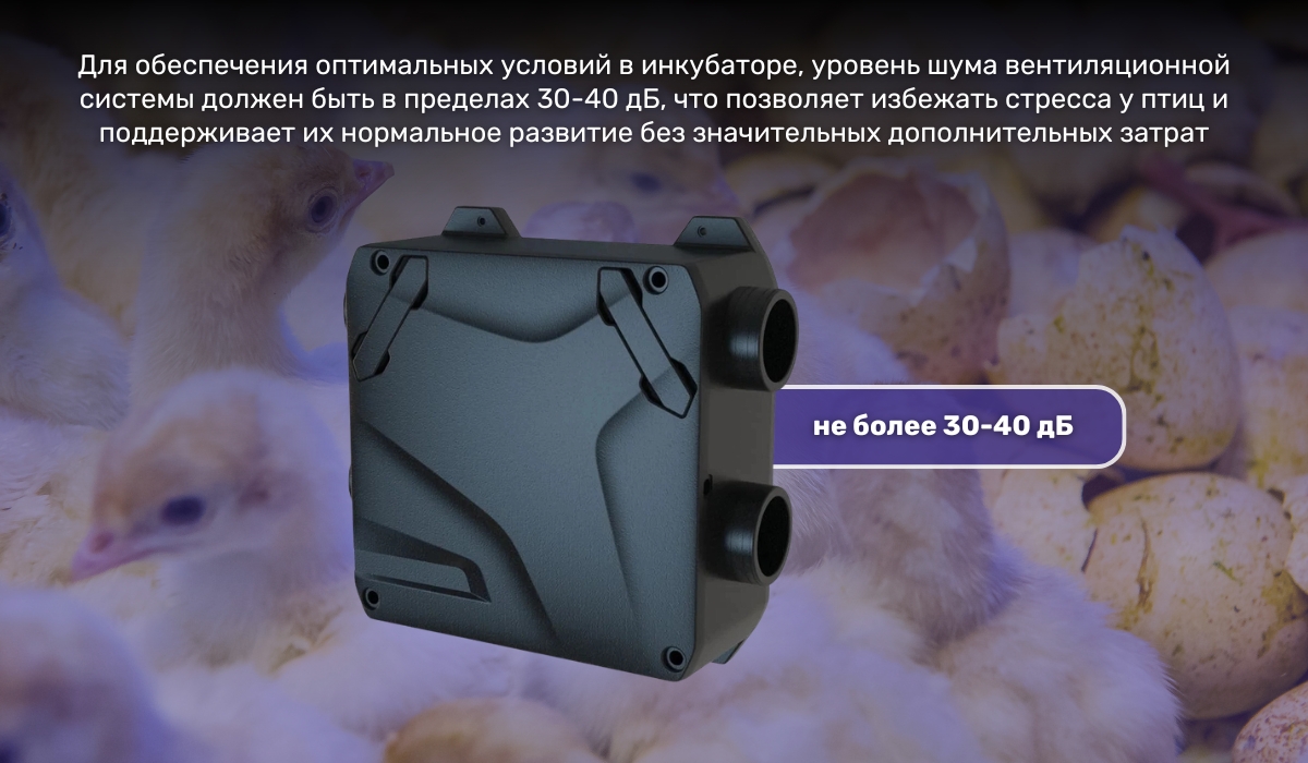 Вентиляция инкубатора: уровень шума имеет значение