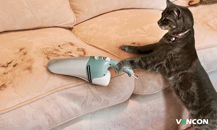 Частіше прибирайте шерсть тварин