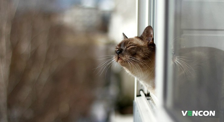 Дихати чистим і здоровим повітрям – це можливо