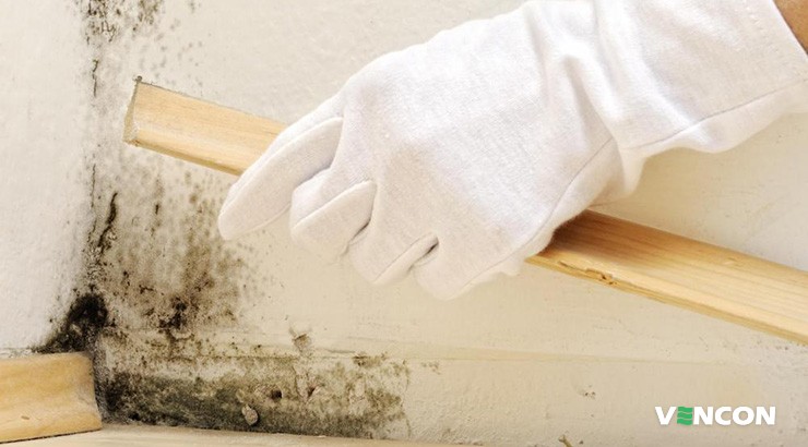 Де найчастіше з'являється грибок?