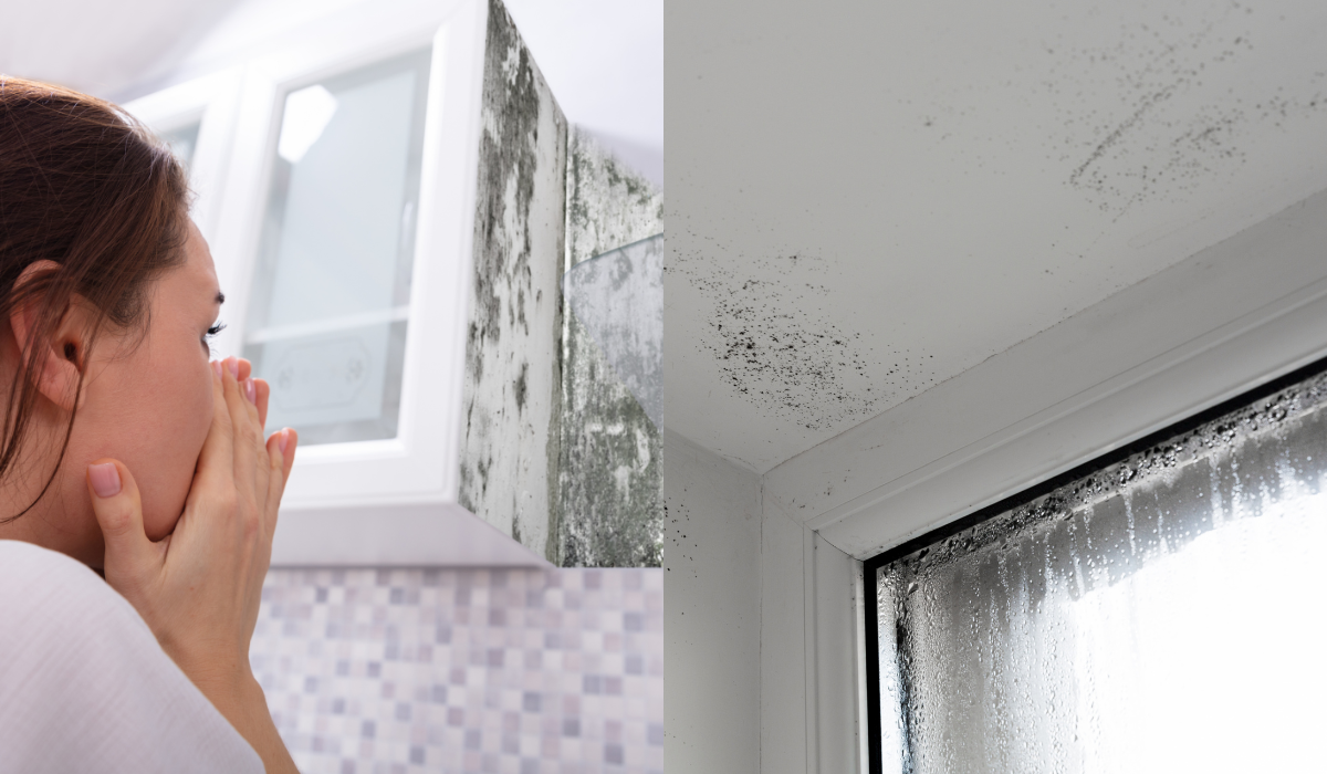 Як підвищена вологість впливає на стан приміщення та здоров'я?