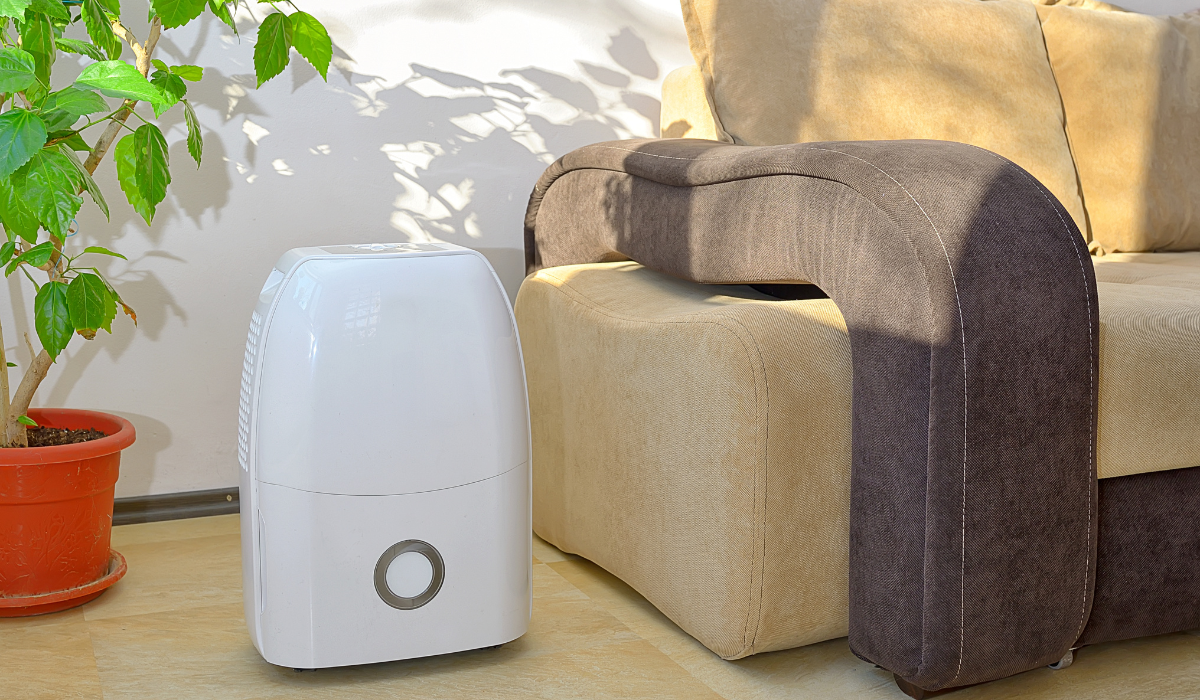 Осушувач повітря як засіб боротьби з вологістю в приміщенні