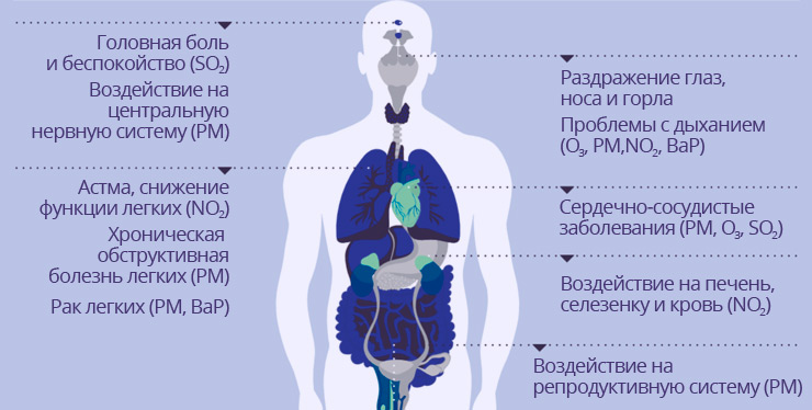 Влияние на организм человека загрязненного воздуха