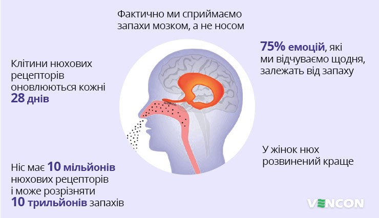 Цікаві факти про нюх