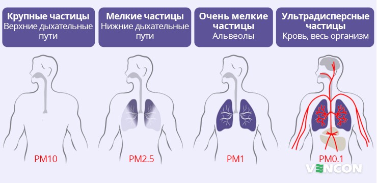 Воздействие частиц разного размера на организм человека