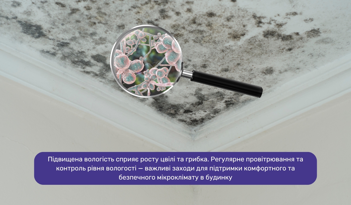 Підвищена вологість в будинку: небезпека, яку вона приховує