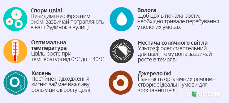 Фактори, які сприяють появі цвілі