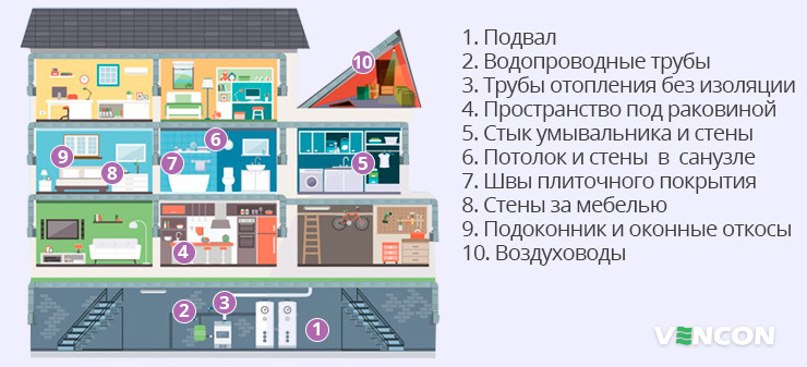 Где может появится плесень в частном доме