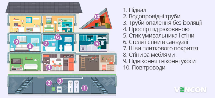 Де може з'явиться цвіль в приватному будинку