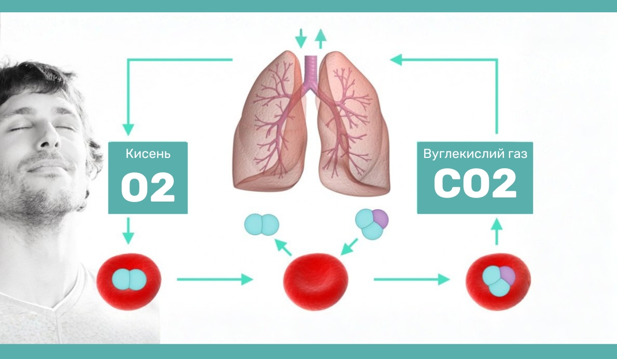 Вплив підвищеної концентрації CO₂ на організм людини