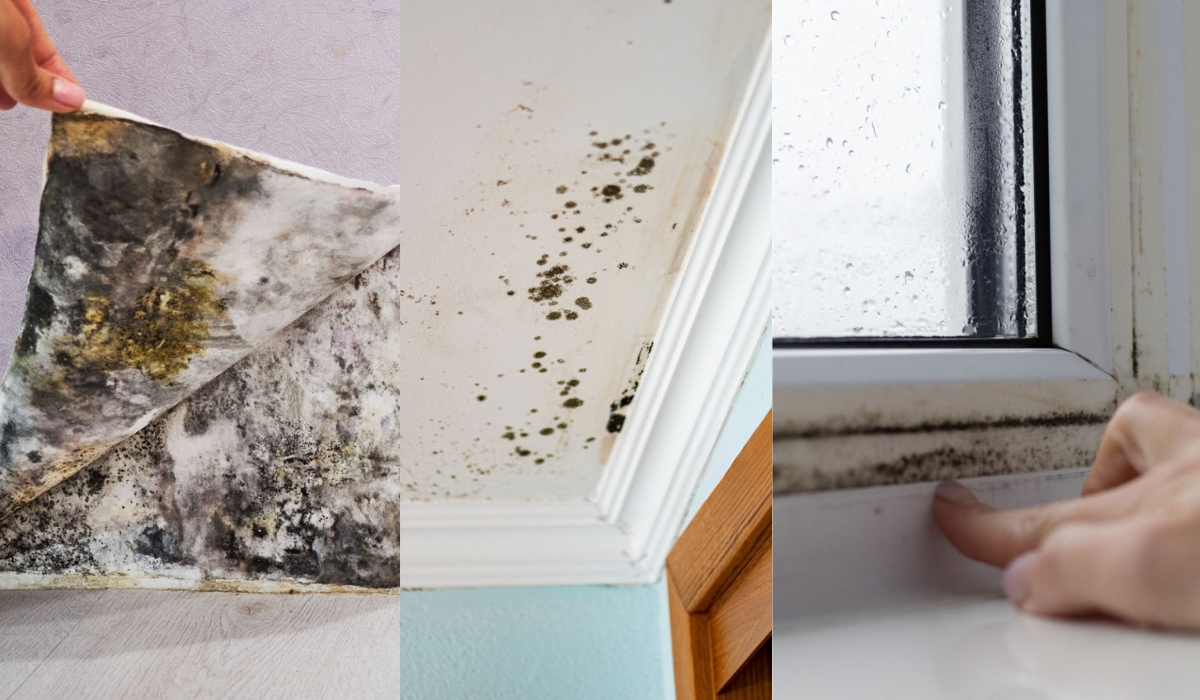 Як визначити, що в квартирі підвищена вологість?