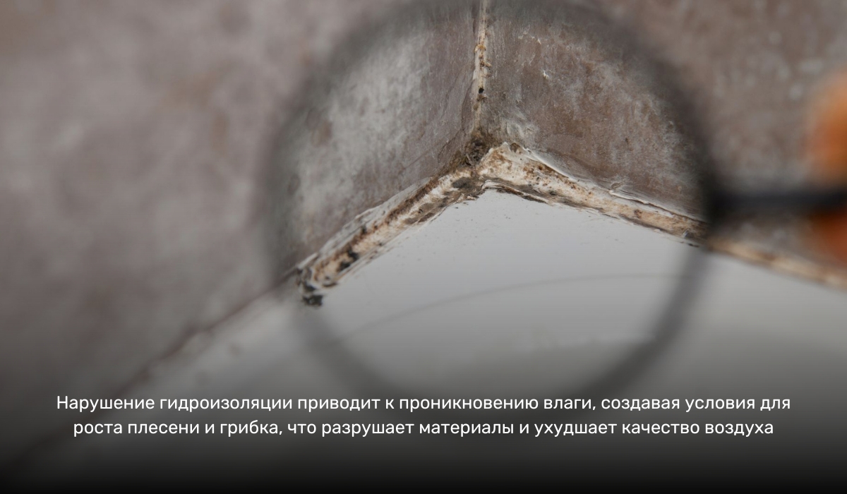 Причины высокой влажности в квартире: нарушение гидроизоляции как одна из основных причин