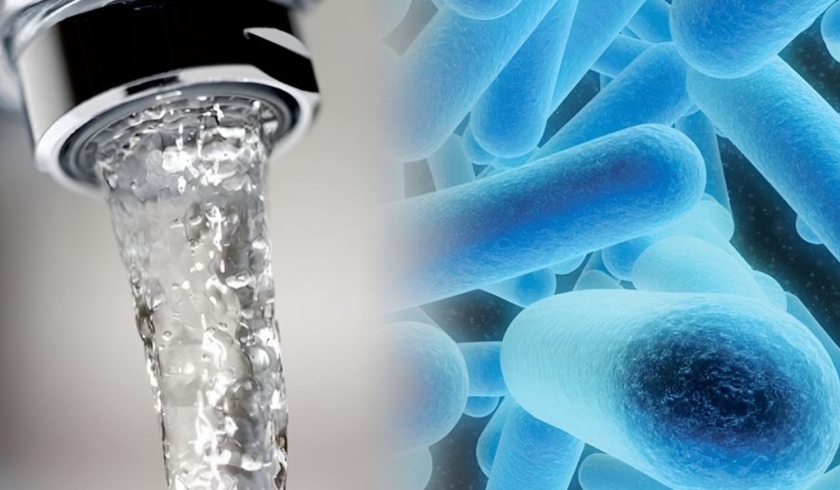 Микробиологические факторы как причина неприятного запаха горячей воды в бойлере