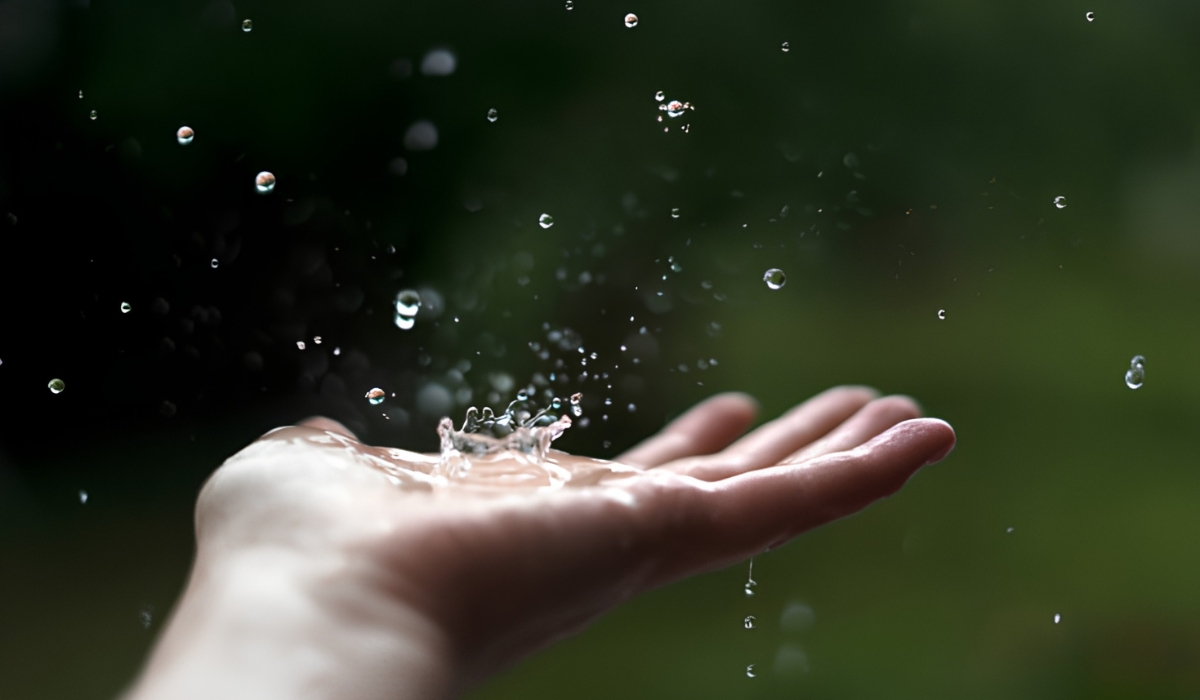 Дощова вода: чи варто її збирати для пиття та повсякденного використання?