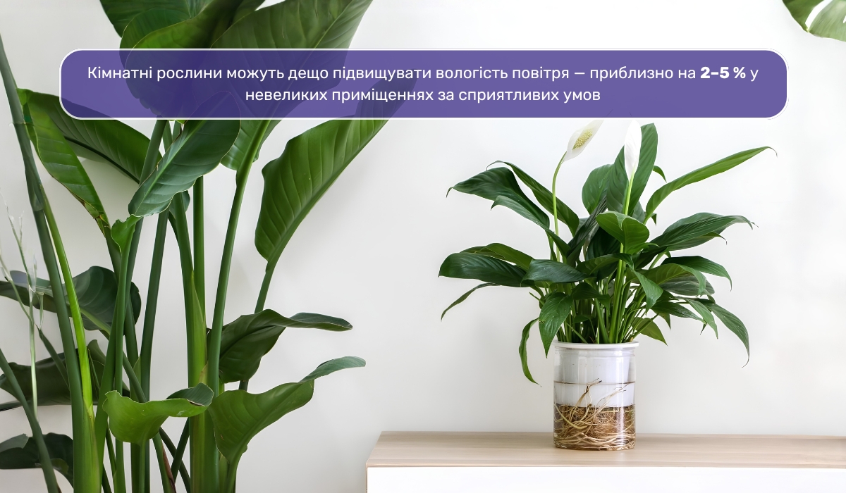 Підтримка мікроклімату та вологості повітря за допомогою рослин