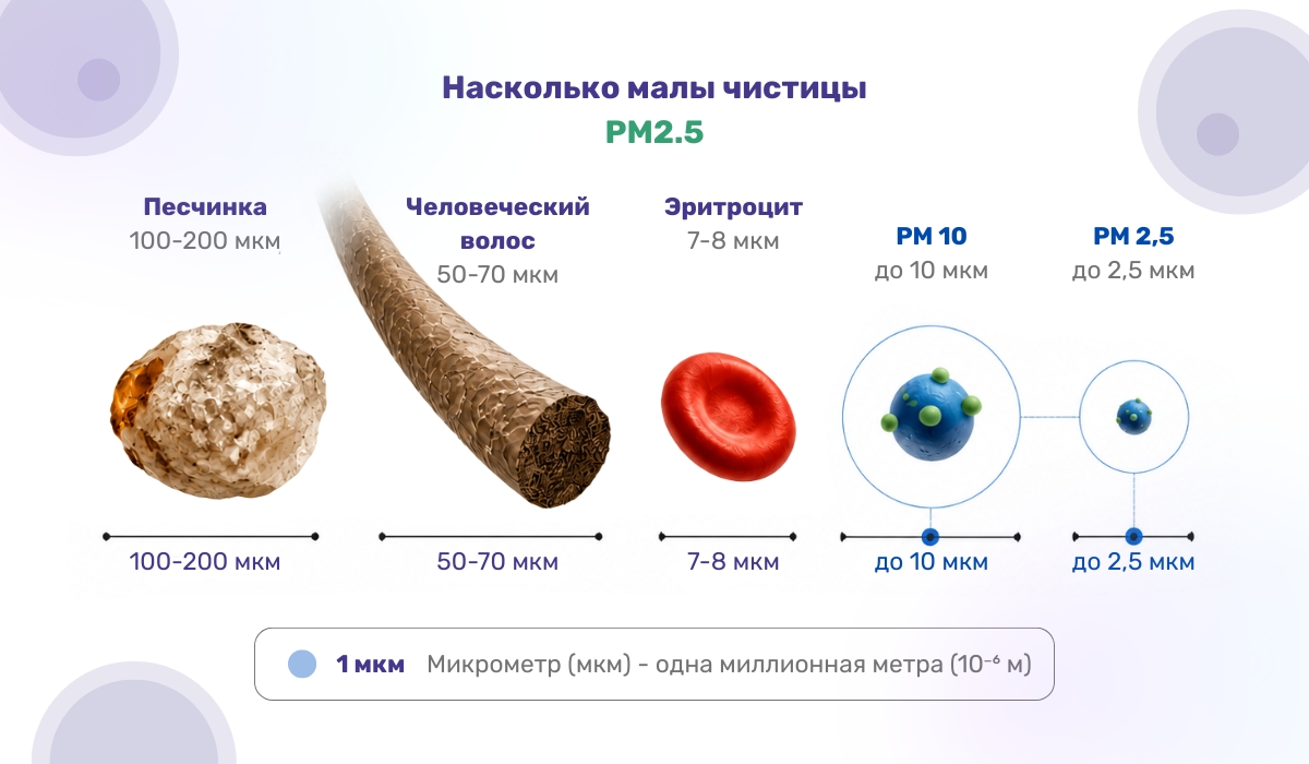 Что такое частицы PM2.5 и насколько они малы