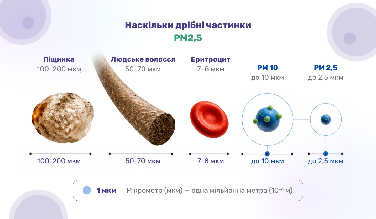Що таке частинки PM2,5 і наскільки вони малі