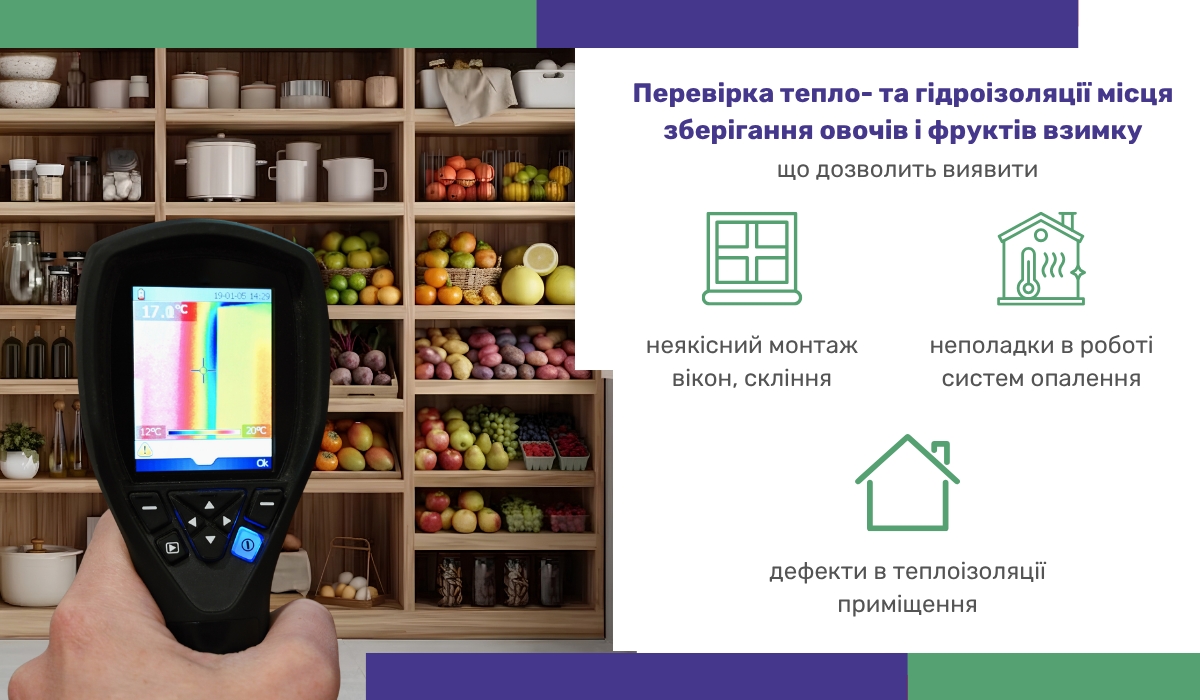 Перевірка тепло- та гідроізоляції місця зберігання овочів і фруктів взимку: що це дозволить виявити