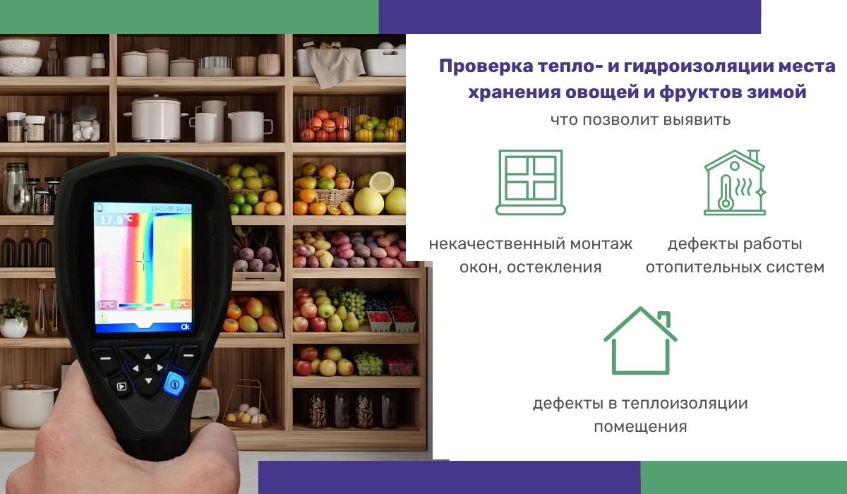 Проверка тепло- и гидроизоляции места хранения овощей и фруктов зимой: что позволит выявить