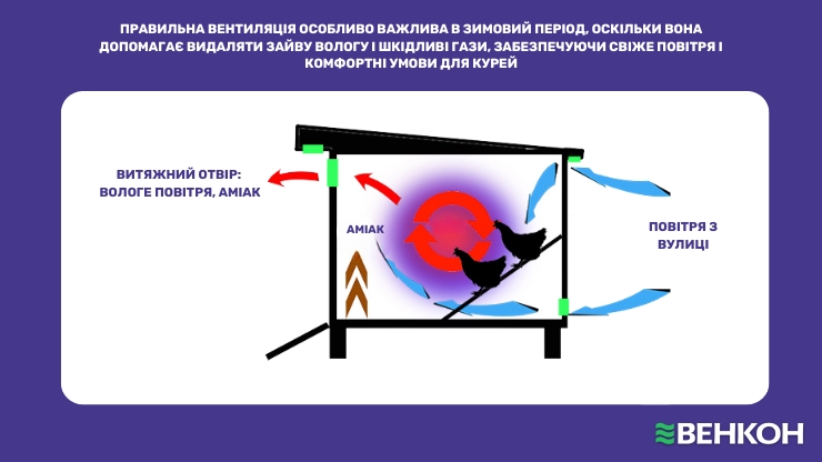 Роль вентиляції в зимовий період для курника