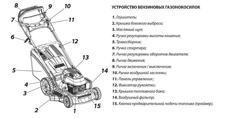 Особенности выбора бензиновых газонокосилок