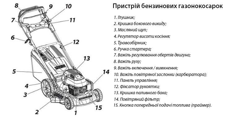 Особливості вибору бензинових газонокосарок