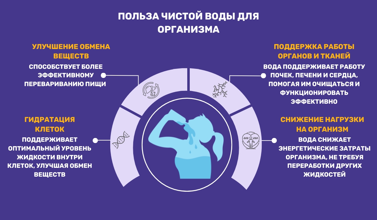 В чем значение чистой воды для человеческого организма?