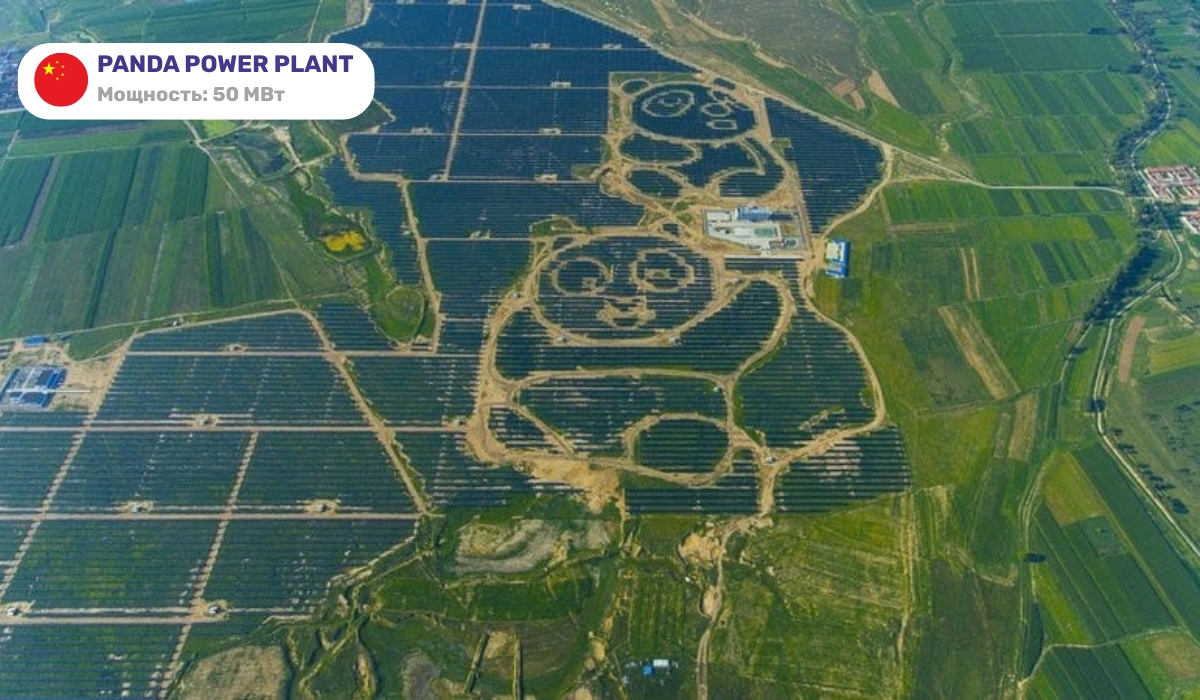 Panda Power Plant — необычная СЭС в форме панды, сочетающая экологичность с креативным дизайном