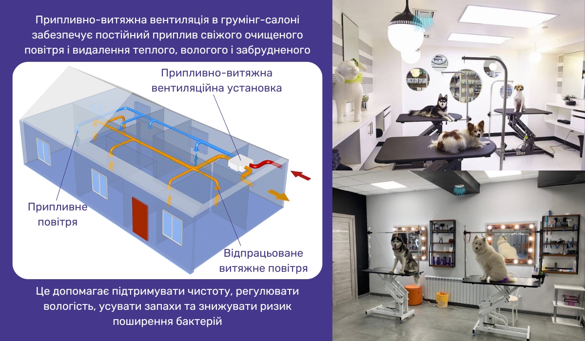 Припливно-витяжна вентиляція — оптимальне рішення для грумінг-салону