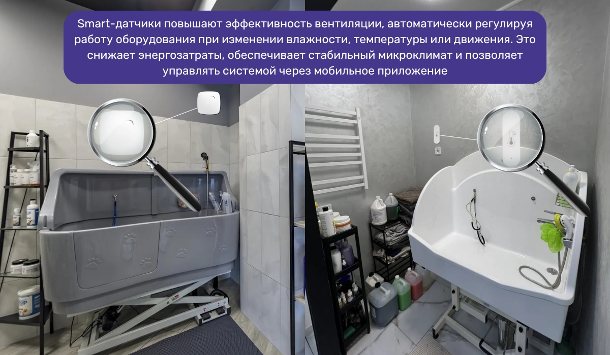 Ванная в груминг-салоне: устройства для оптимизации микроклимата